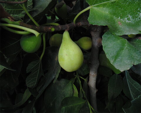 images/stories/virtuemart/product/excel